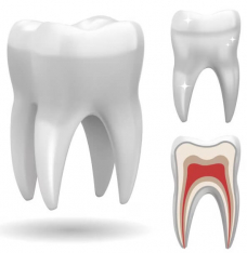 Внутриканальное отбеливание зуба цена